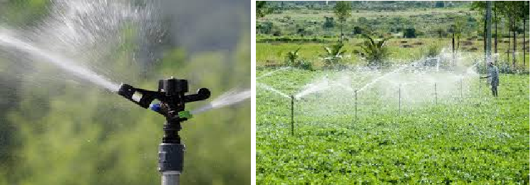 traditional irrigation
