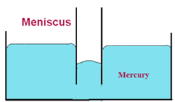 Capillary Action