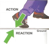 Action Reaction Pair and Newton's third law of motion.