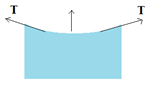 Laplace's Law