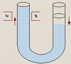 Ferromagnetic