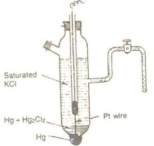 Electrodes 03