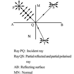 Plane of polarization Archives - The Fact Factor