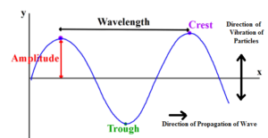 Wave Motion Transverse Waves