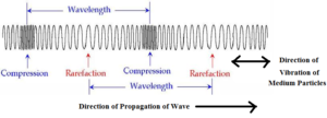 Wave Motion Longitudinal Waves