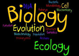Branches of Biology