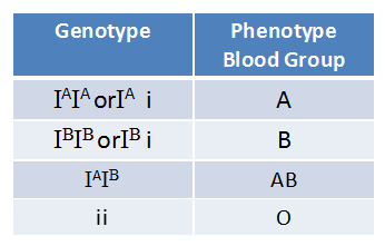 Blood Groups The Abo System Rhesus System Blood Donation