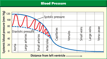 Measurement of Blood Pressure