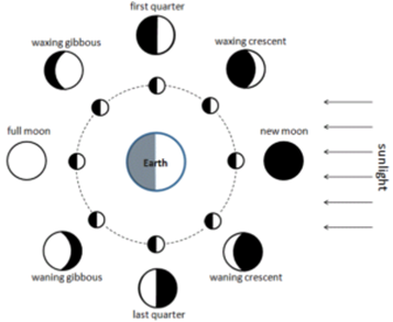 Moon phases