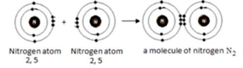 Octet Theory - Covalent Bond 03