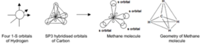 Formation of Methane Molecule