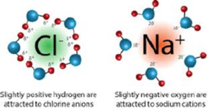 Dipole-Induced dipole interaction Archives - The Fact Factor