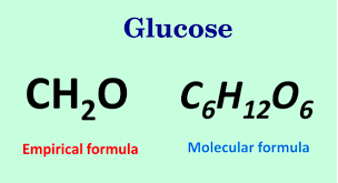 Difference between empirical formula and molecular formula