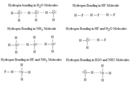 hydrogen bond examples list