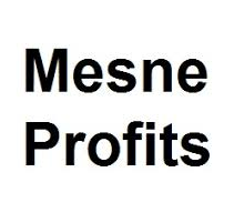 Mesne Profits