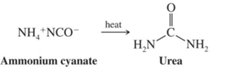 Organic Chemistry