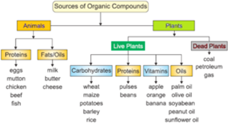 Organic Chemistry