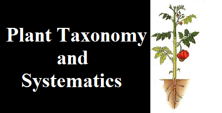 Plant Taxonomy and Systematics