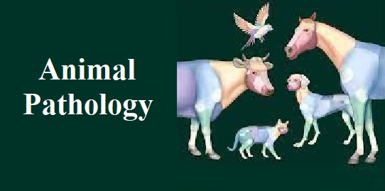 Animal Pathology