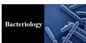 Bacteriology: Scope, Importance and Applications