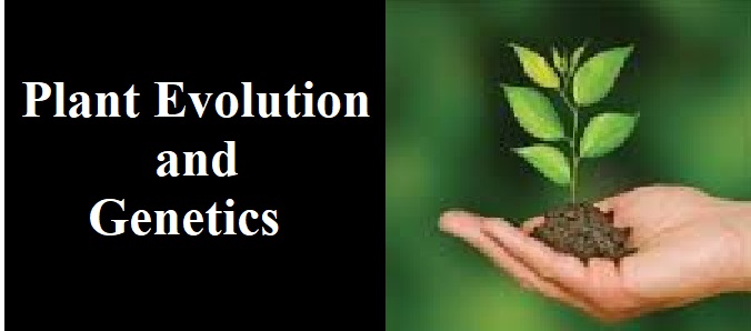 Plant Evolution and Genetics