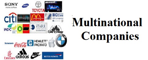 Case Studies of Leading Multinational Companies